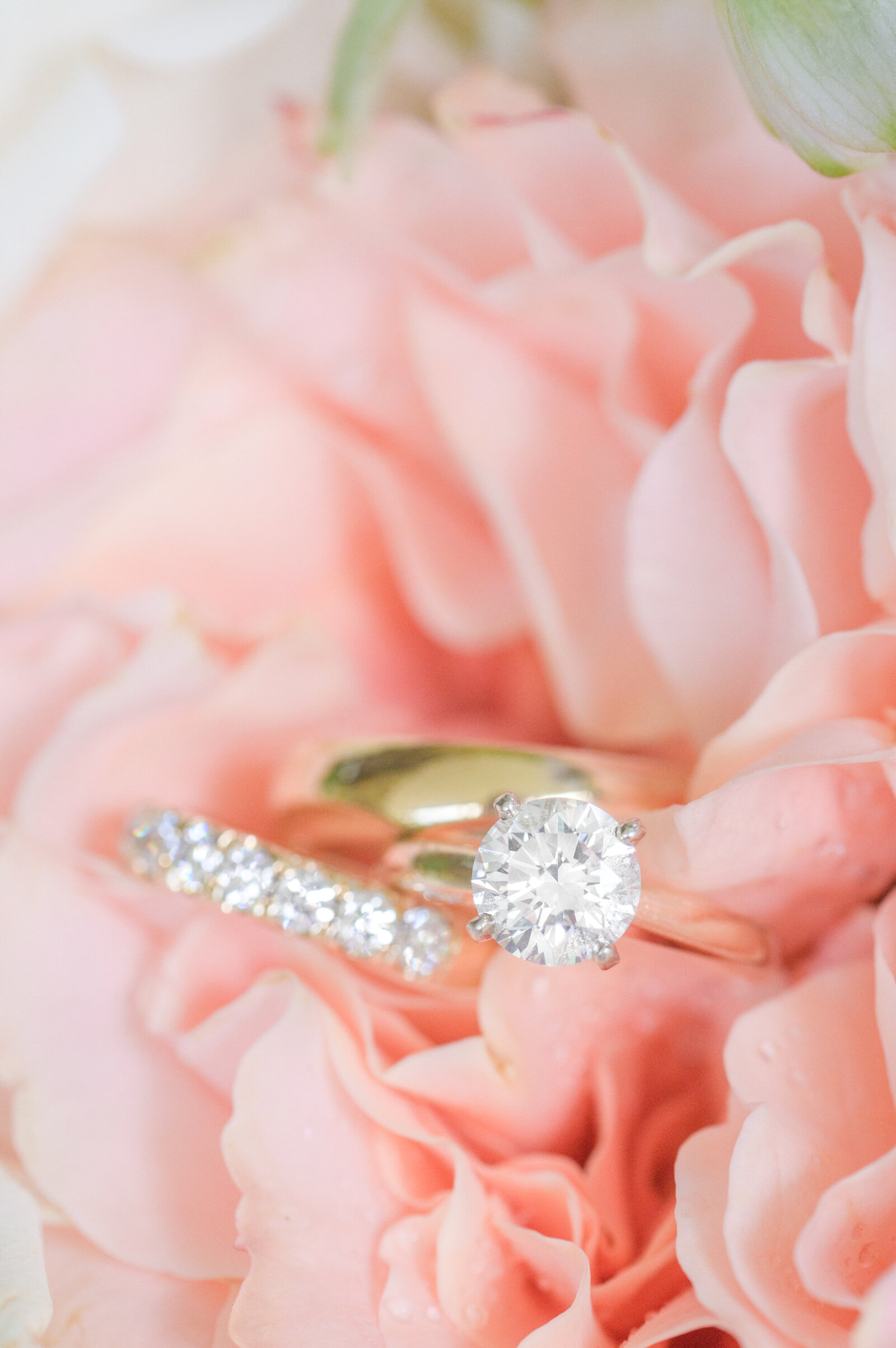Gold wedding rings sit in coral flower during wedding day photographed by baltimore wedding photographer cait kramer