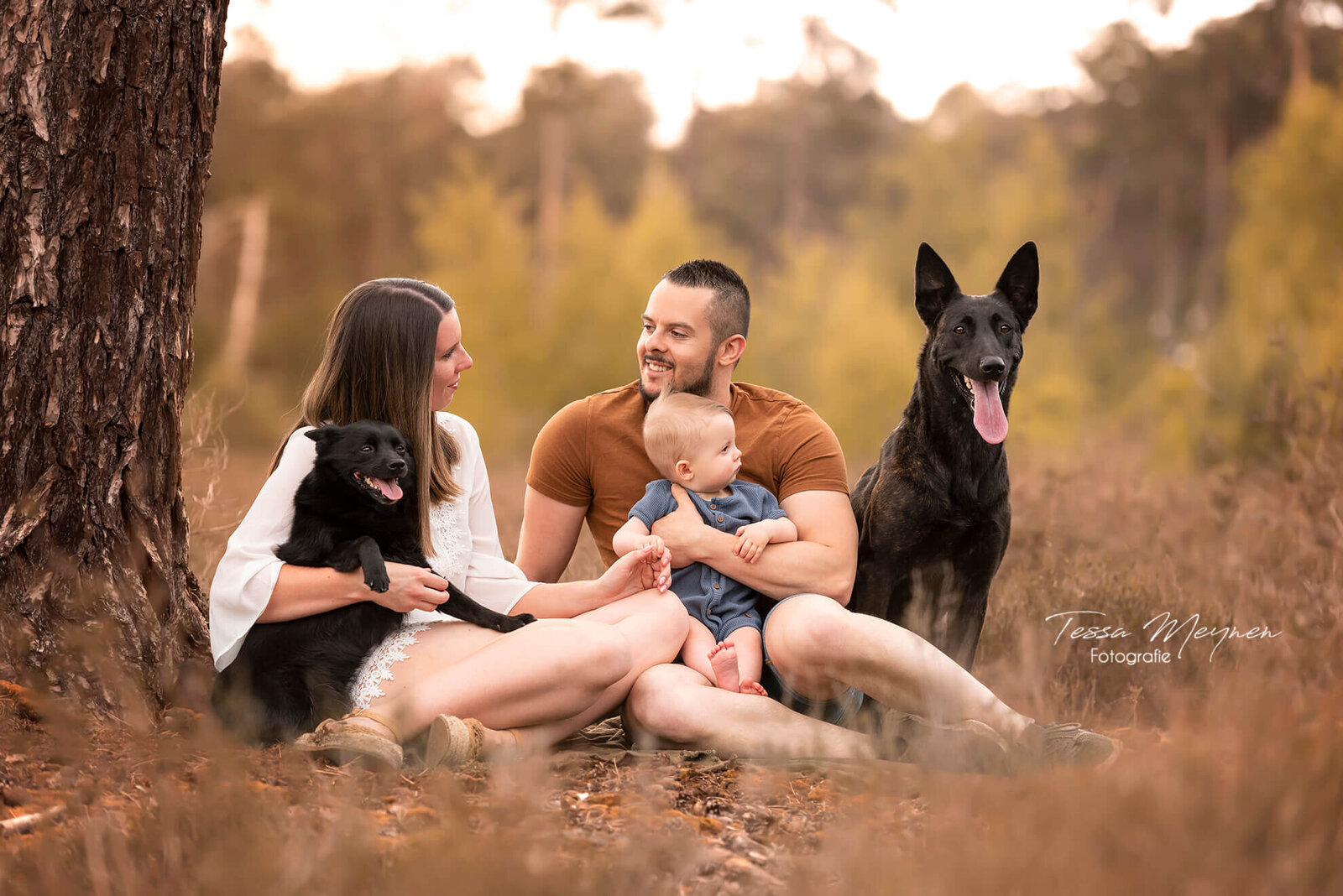 Foto van het hele gezin met baby en 2 honden