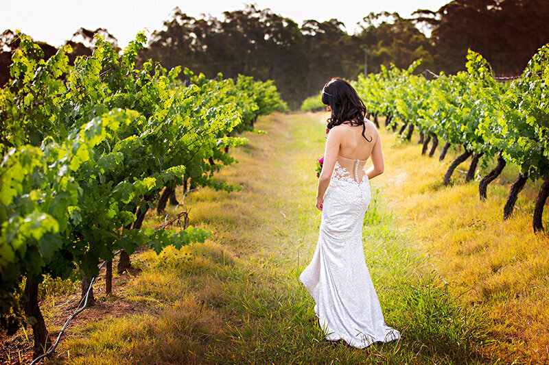 Bride in the vineyards Hunter Valley