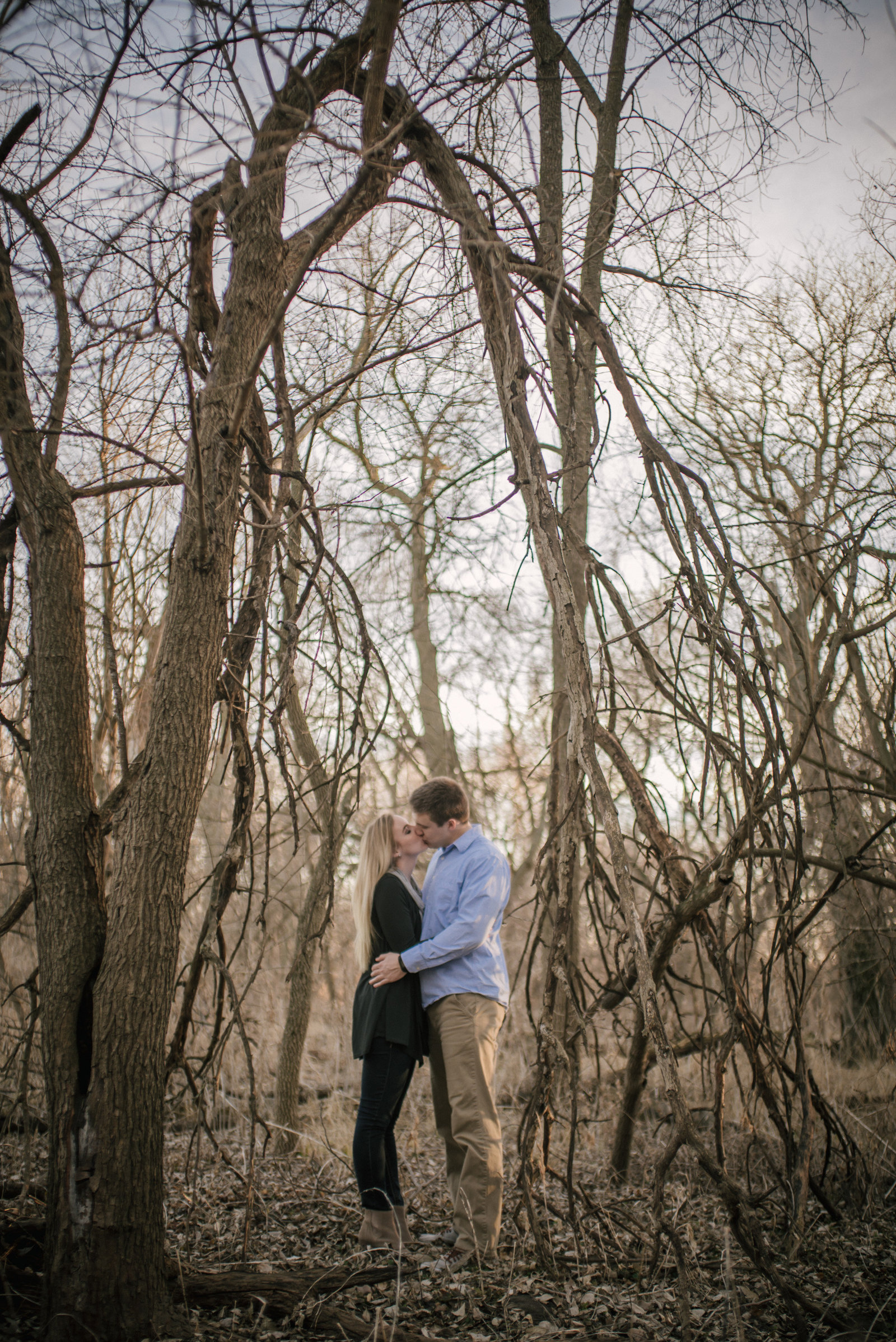 couple kissing under fallen branches