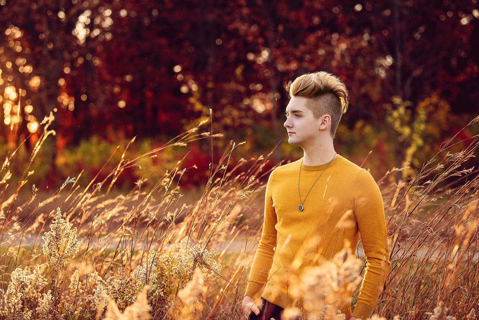 Mound Minnesota senior photo of boy in long grasses in the fall