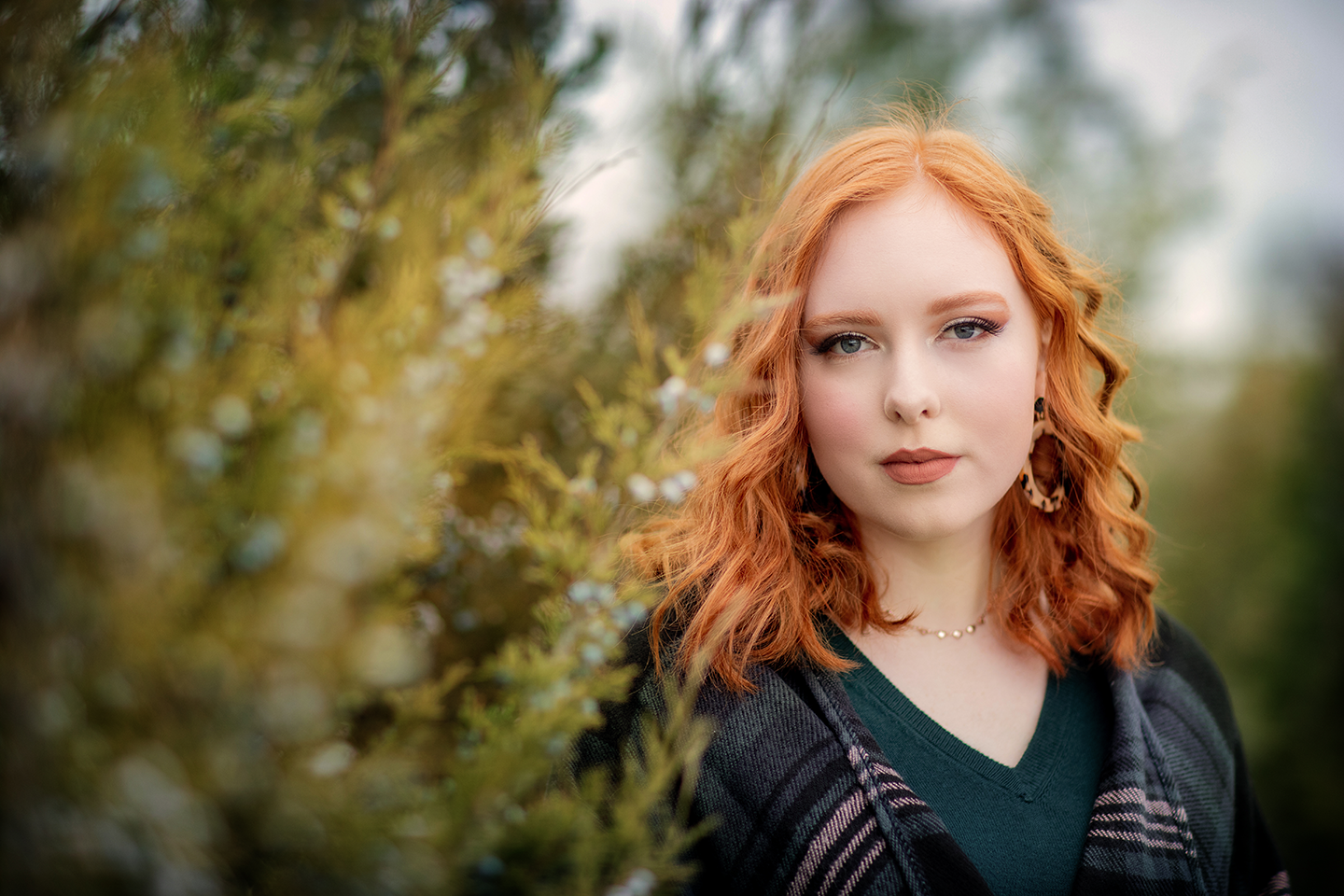 Senior picture near me. senior graduate with red hair in green pine trees with blue berries. Complimentary colors, at Norms Island in Billings Montana.