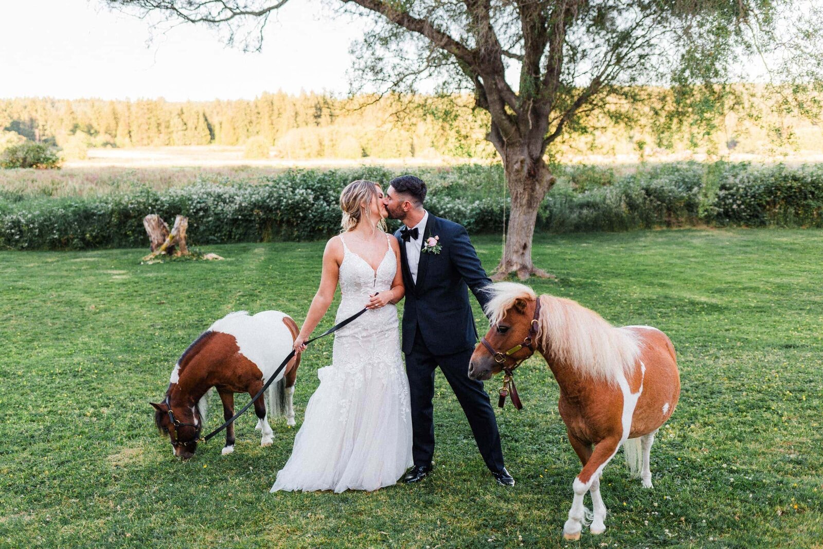 Horse Wedding (1)