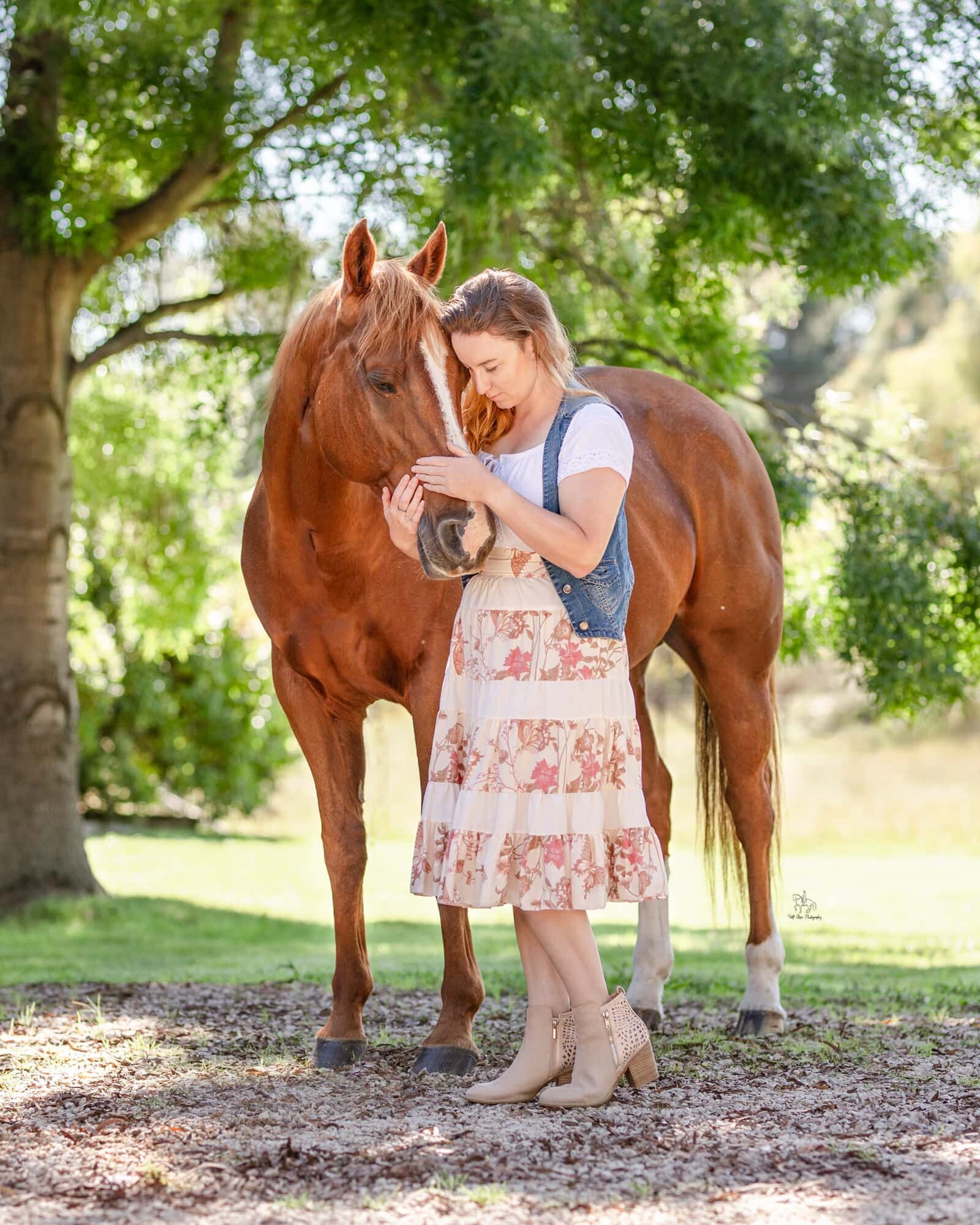 (50) Intimate horse and owner photoshoot