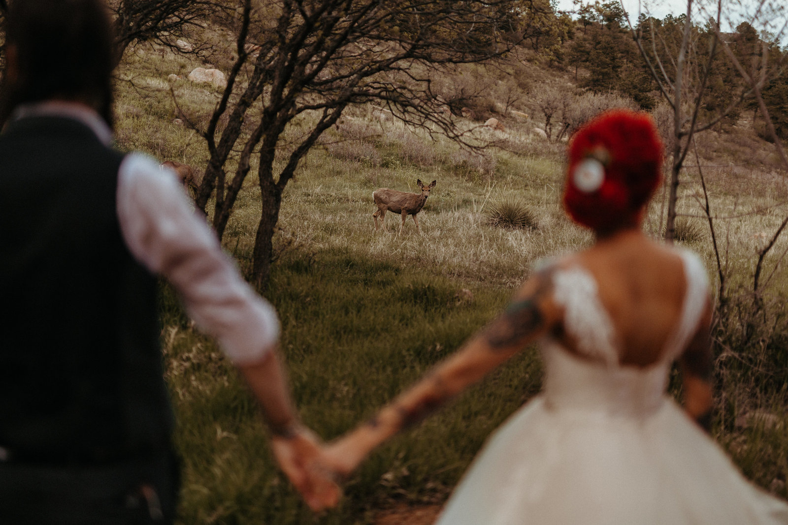 Non-Traditional Wedding Couple With Tattoos And Wild Deer
