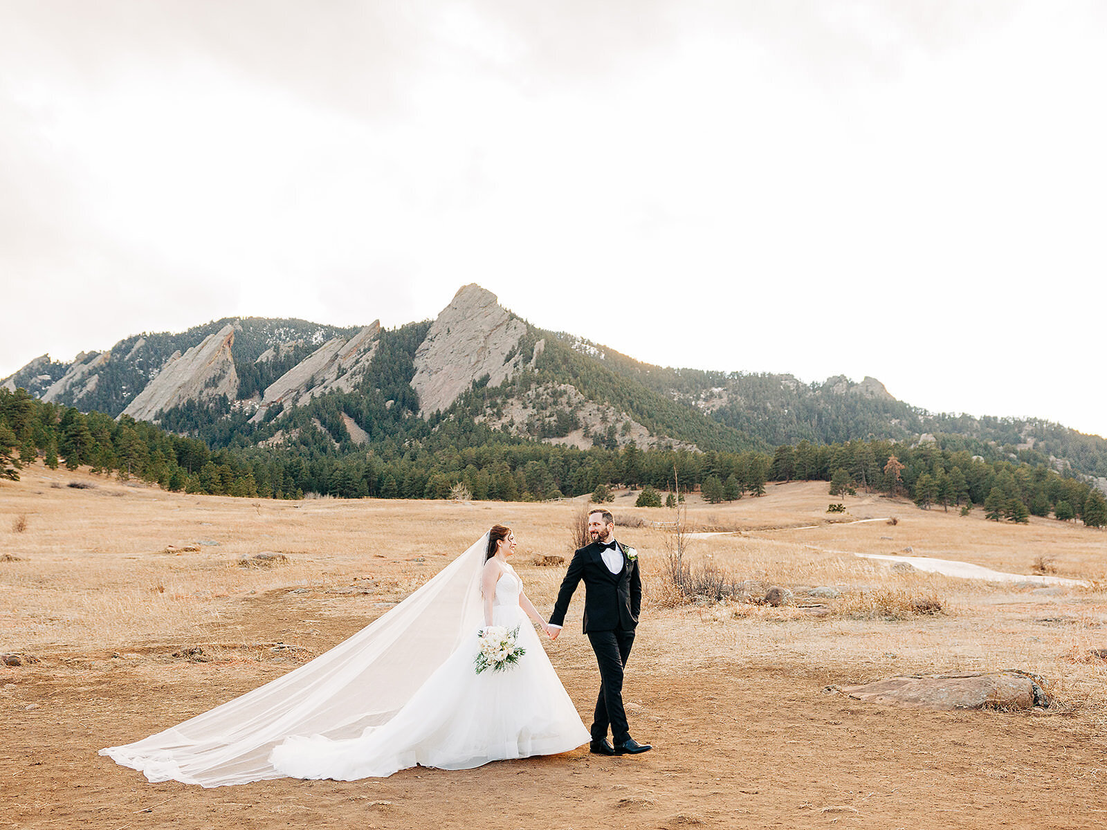 A bride and groom hold hands outdoors with mountains and trees in the background. Captured by a Colorado Wedding Photographer, the landscape is dry and expansive under a bright sky, highlighting the bride’s white dress and the groom’s black suit.