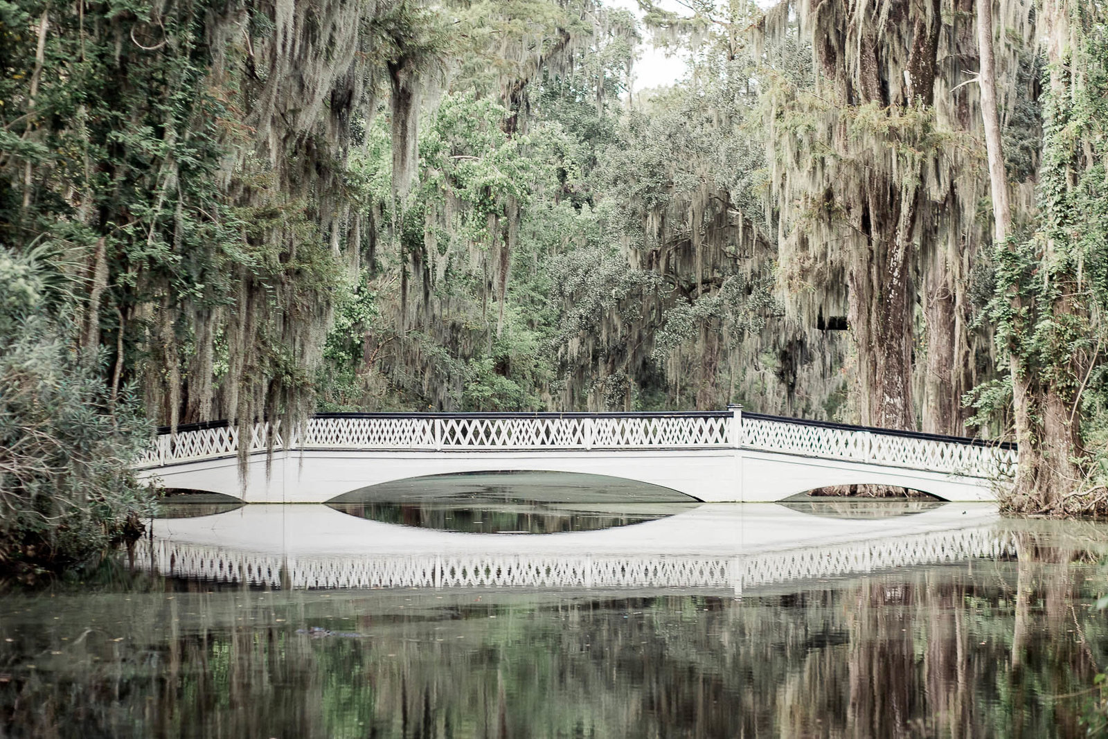 White bridge sits under oak trees, Magnolia Plantation, Charleston, South Carolina
