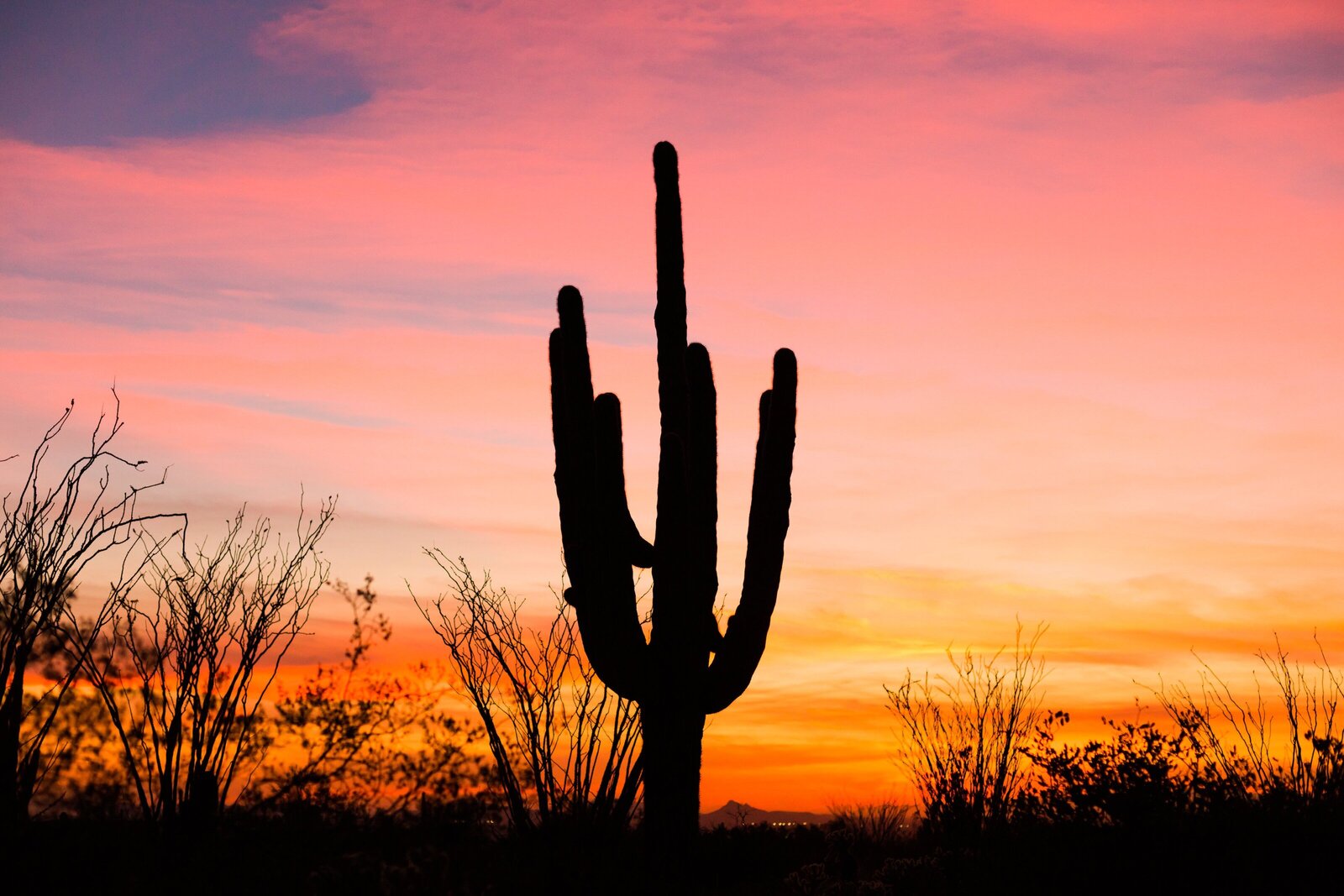 joanna-moss-photography-Vancouver-wedding-photographer_3448