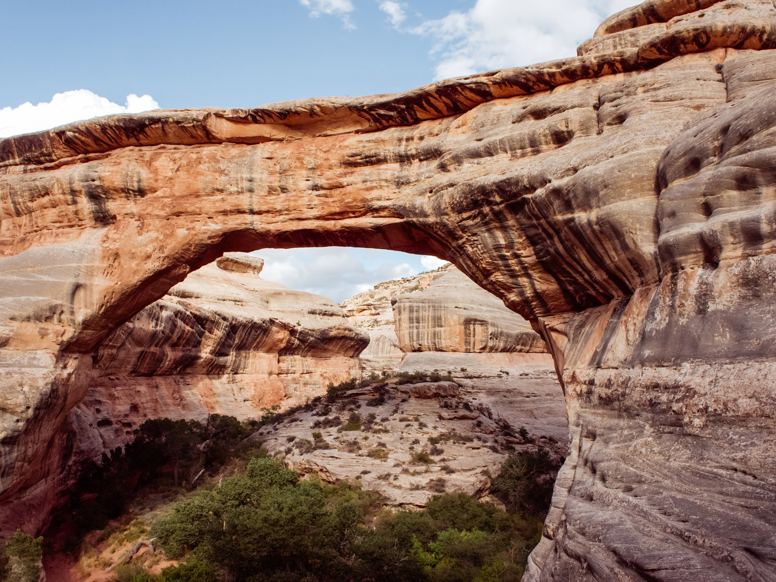 Sasha_Reiko_Photography_Travel_Utah_Arches_Canyon_Lands_Zion_Grand_Canyon-8