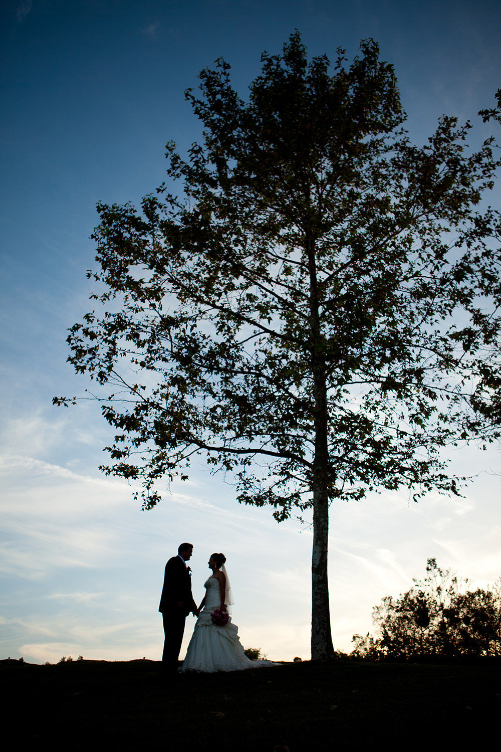 bride and groom at the beautiful wedgewood sunset