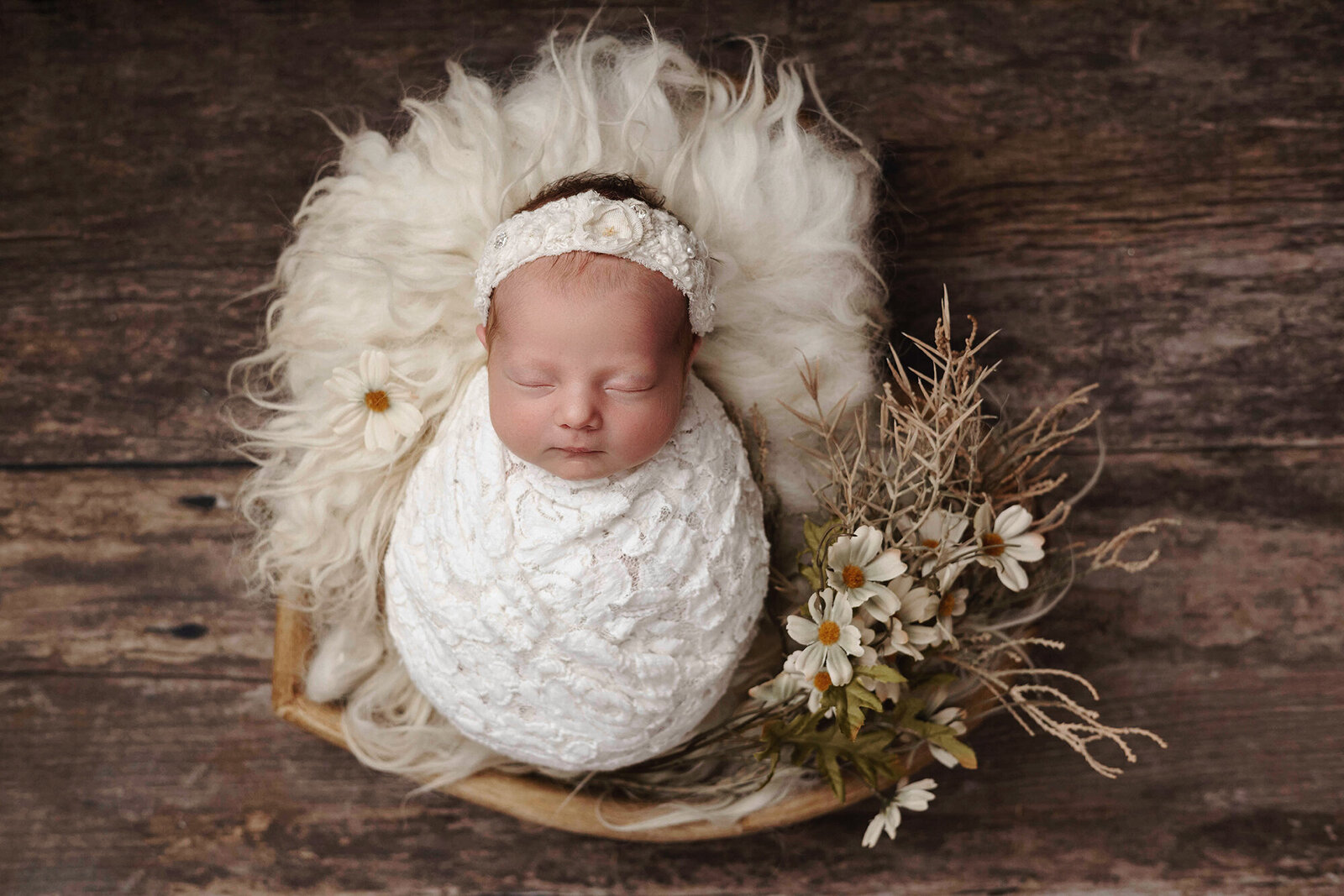 res girl newborn white daisy
