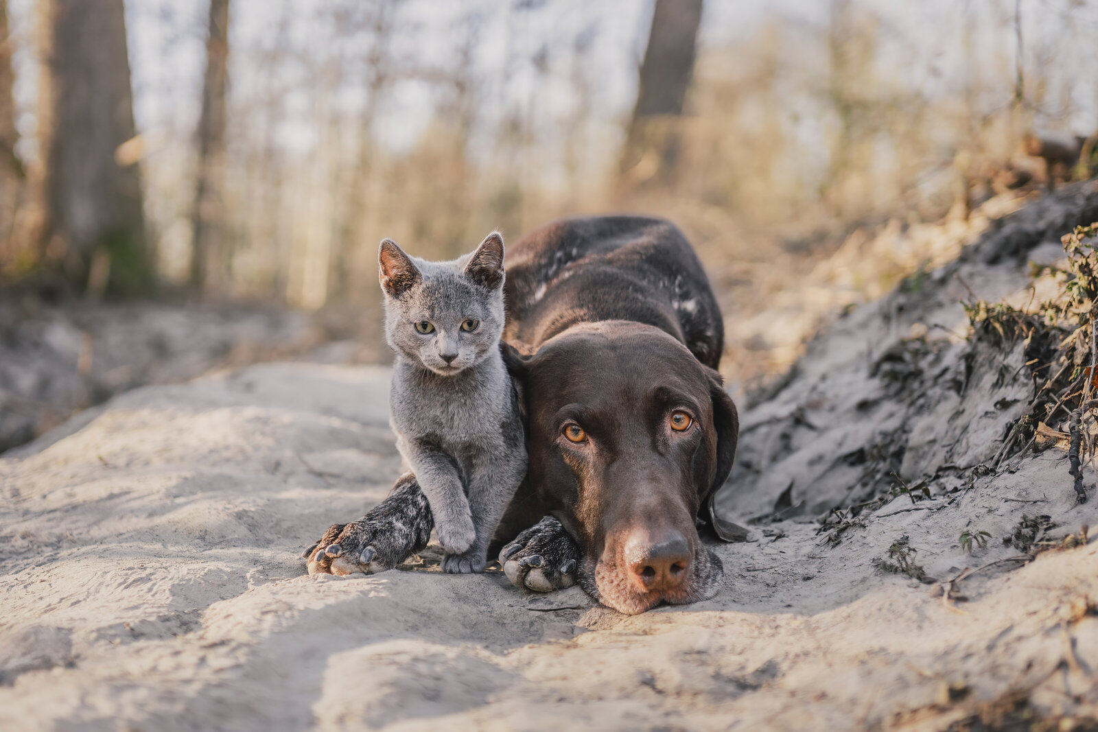 DSC03111 (Origineel2 AFDRUK, bewerkt)