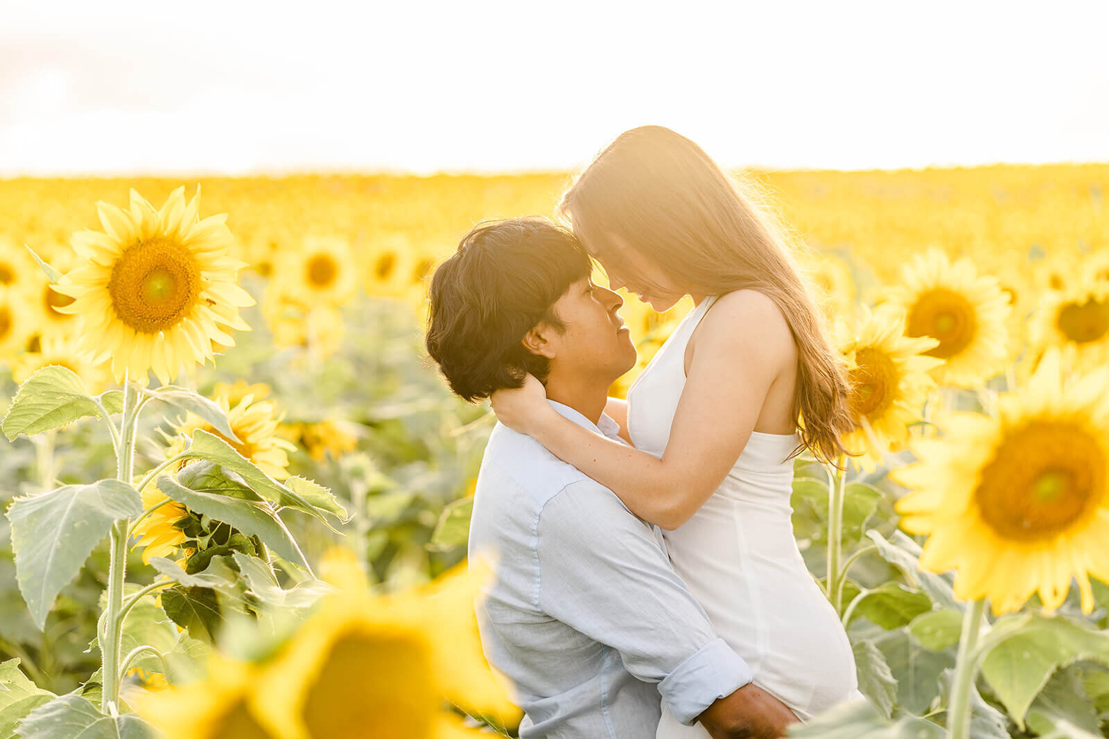 Romantic engagement photo of a couple sharing a sunflower-filled moment in Brisbane