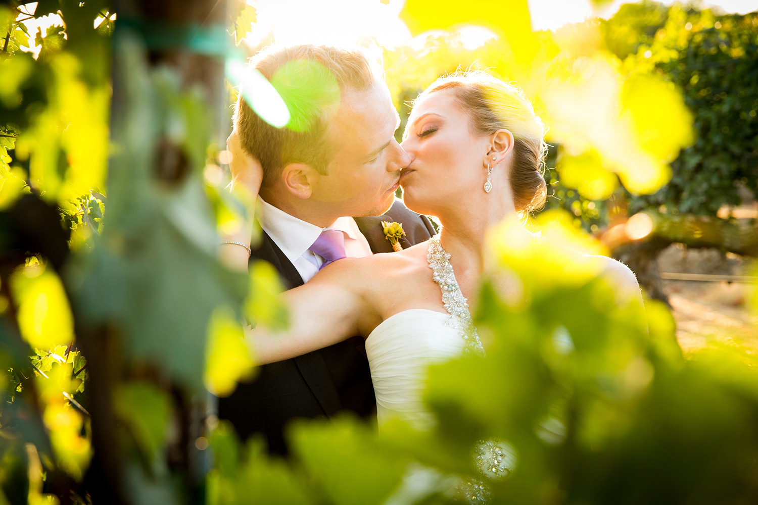 romantic moment with the bride and groom in the vineyard