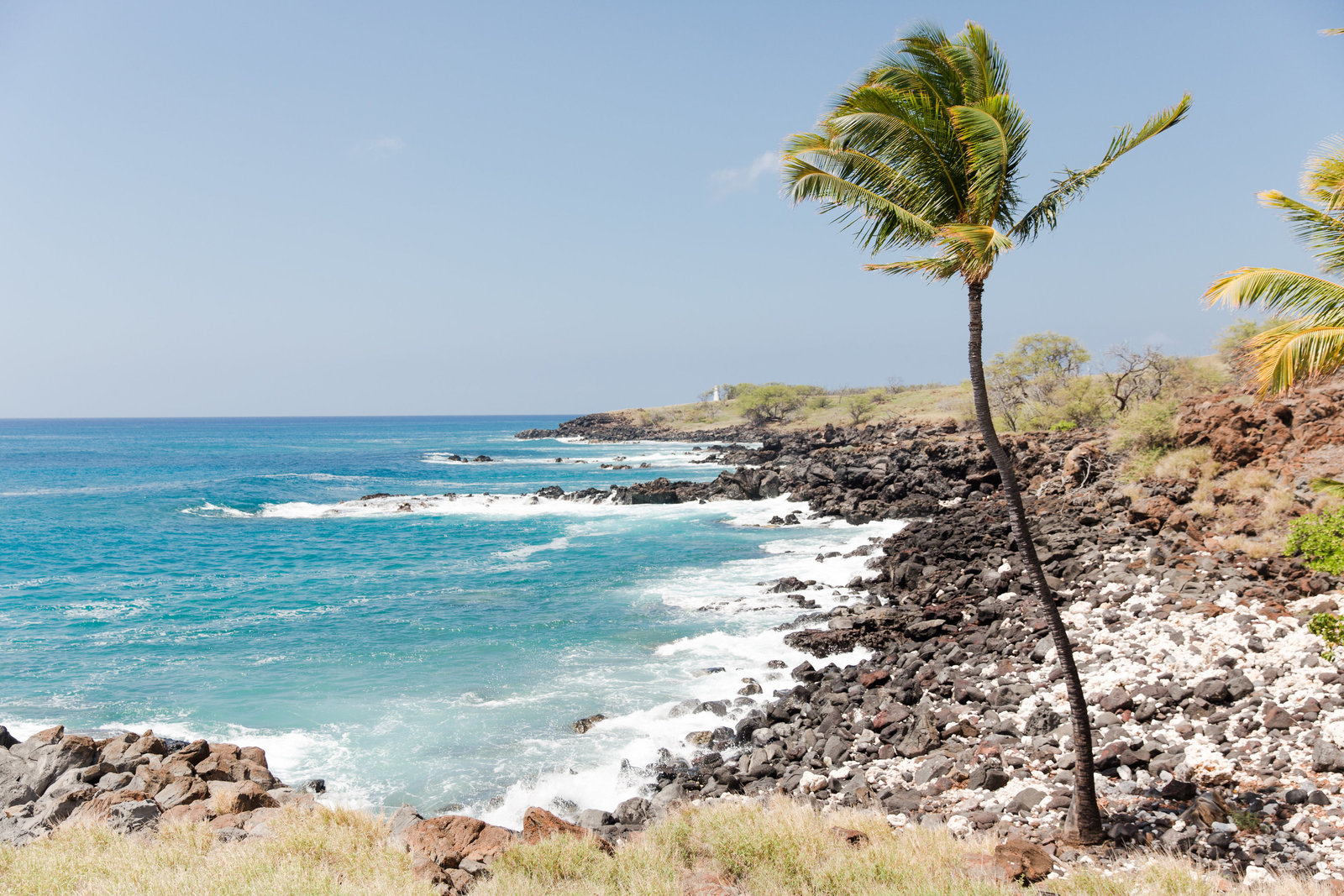 Hawaii 20165V1A1001