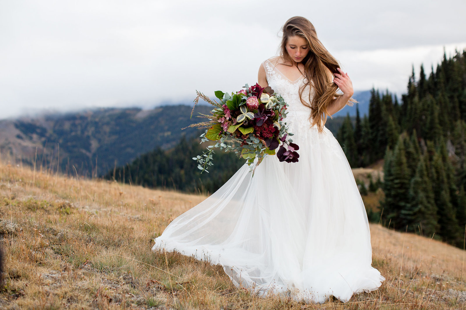 PNW_Hurricane Ridge-30