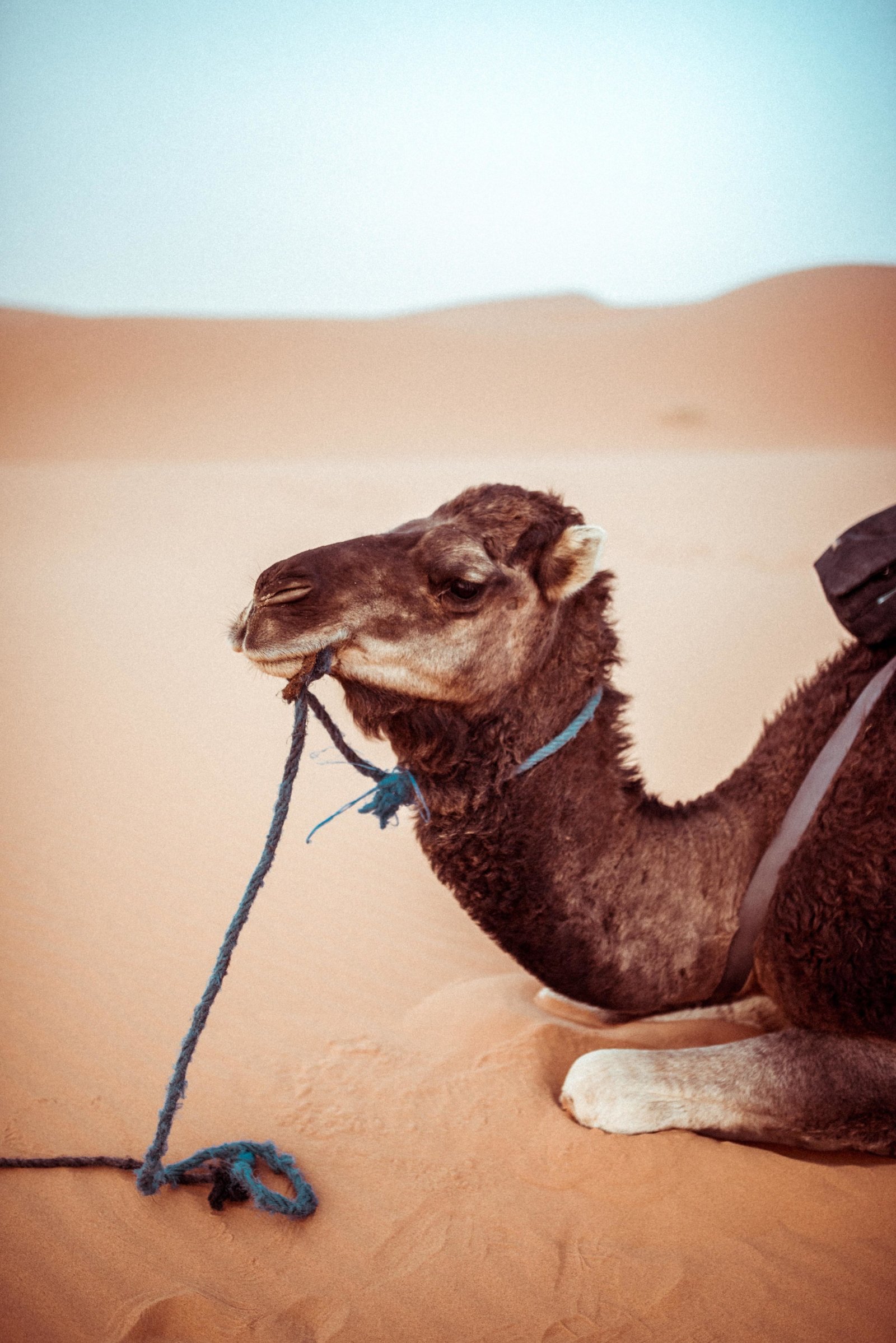 Morocco-3