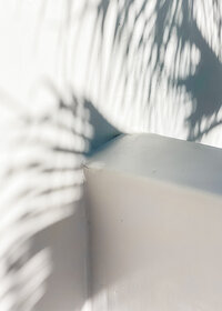 Elevae_23_0000005573-1 copy Elevae_23_0000005573-1 copy