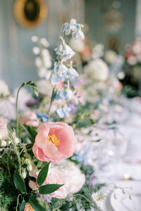 DSC05149A_websize
