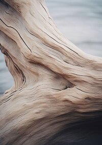 aaea1fa7f94c299bdb261474f0673f51