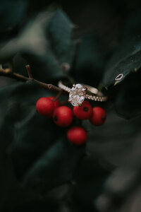 MLE_9294