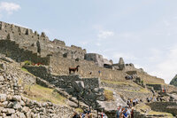 machu picchu230