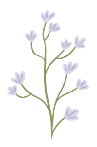 Florida Social Butterfly |Purple Vine Flower icon