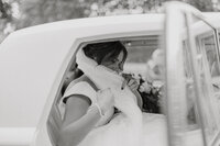 IMG_7642 copy