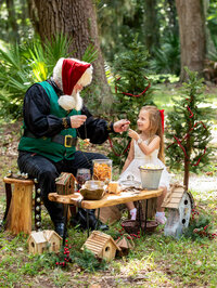 hanging-christmas-ornaments-with-santa-st-johns-florida