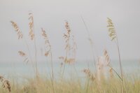 coastal-couple-session-turk-and-caicos-beach-intimate-moments.jpg-5