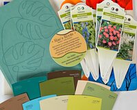 Color Cards