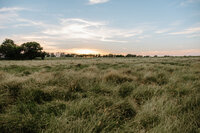 gravel-and-grace-prairie-field-sunset.jpg