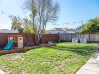 Cypress-0338