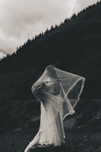 montana-8