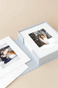 spokane-post-falls-pet-photography-folio-box