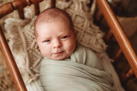 Charleston-Newborn-Photographer-37