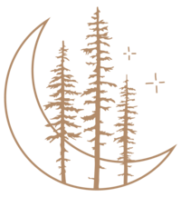 pine tree and moon illustration