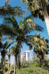 Sarasota Wedding Photographer_0001