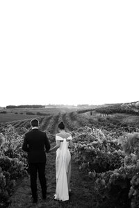 Bride and groom walking through vineyard rows in black and white