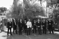 Royal palms 2-13