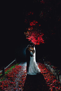 bride and groom night photo in front of Japanese maple tree, vibrant with red leaves