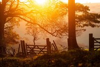 Sun_banner1