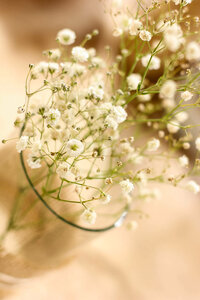 Wedding photography NyA -13