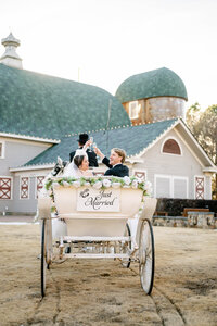 just married couple ride away on horse drawn carriage