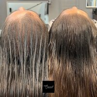 Female-Density-SMP-Arizona