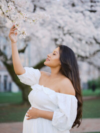 Pregnant woman reaching for a cherry blossom blooms at UW Quad in Seattle