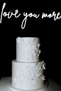 ModernWeddingattheLiederkranzandBoulderFlatts-Janzens-GrandIslandWeddingPhotographer-412