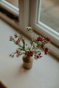 ashleigh-joy-photography-7eN778msLgE-unsplash