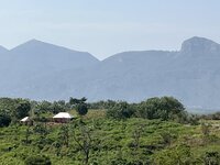 cameroon 10