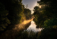 Z8S_7928-2